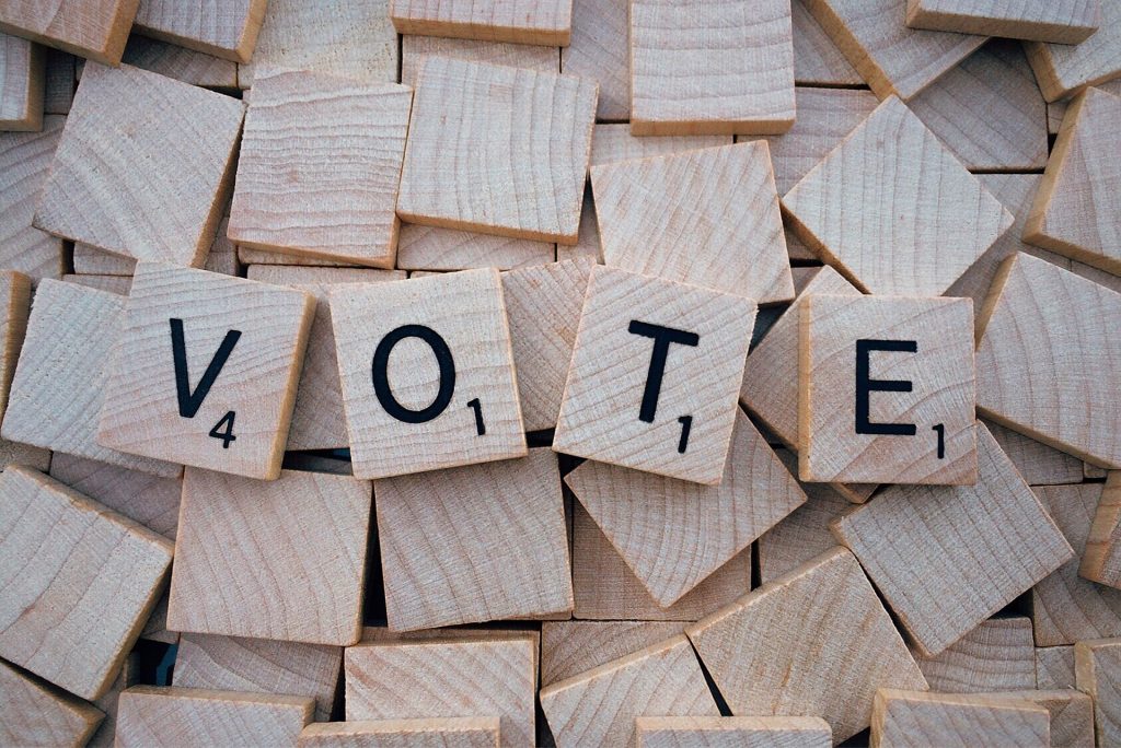 vote-1804596_1920 (1)